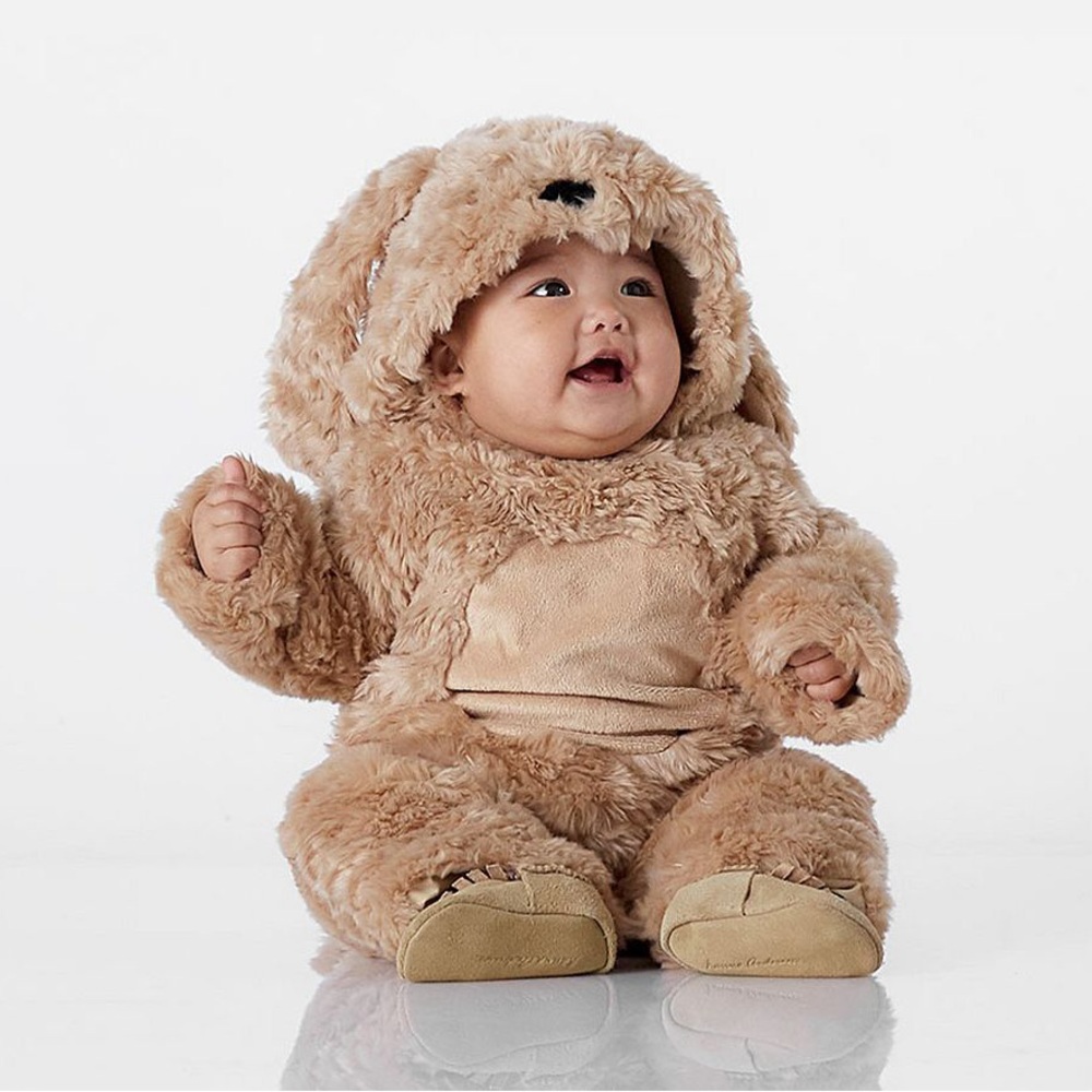 Pottery Barn Kids Baby Dog Costume